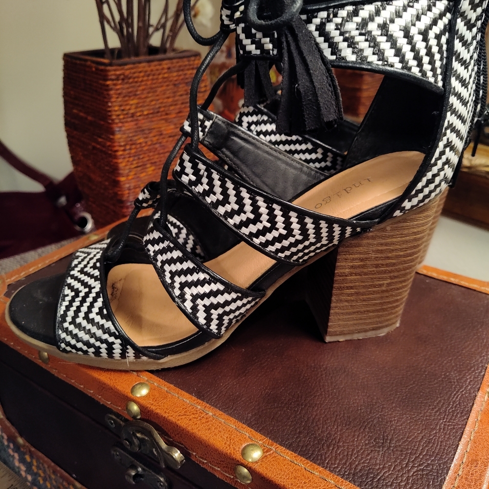 Cute black and white Chevron block heels
